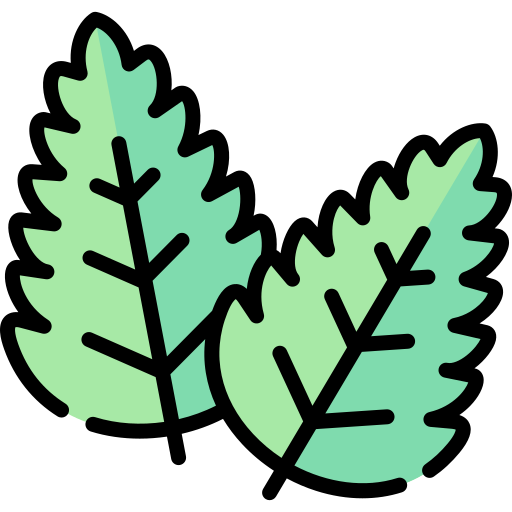 WeaveWillow